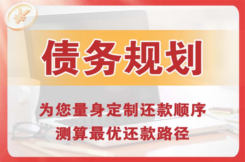 河源债务规划